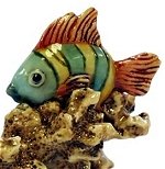 Fish on Coral